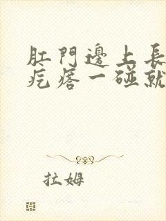 肛门边上长一个疙瘩一碰就疼封面