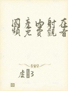 国产内射在线视频免费观看