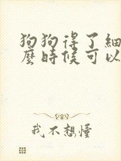 狗狗得了细小什么时候可以吃东西