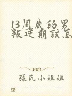 13周岁的男孩叛逆期该怎么办