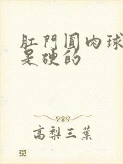 肛门圆肉球里面是硬的封面