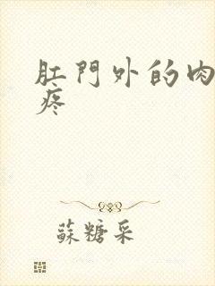 肛门外的肉球很疼封面