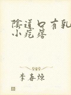 阴道口有乳头状小疙瘩封面