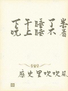 下午睡了半小时晚上睡不着