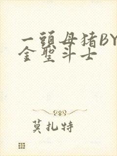 一头母猪BY黄金圣斗士封面