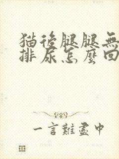 猫后腿腿无力不排尿怎么回事