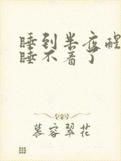 睡到半夜醒来就睡不着了封面