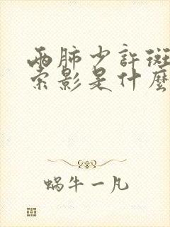 两肺少许斑点条索影是什么意思