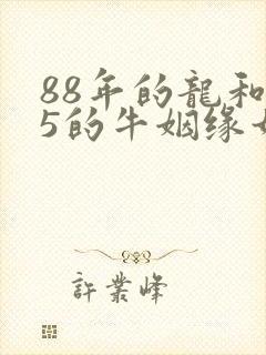 88年的龙和85的牛姻缘如何