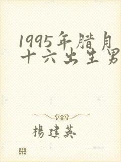 1995年腊月十六出生男孩命运封面