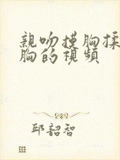 亲吻摸胸揉胸揉胸的视频