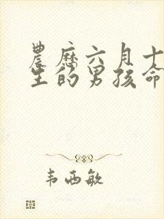 农历六月十六出生的男孩命运