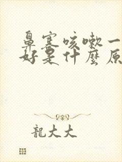 鼻塞咳嗽一直不好是什么原因封面