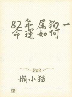 82年属狗一生命运如何封面
