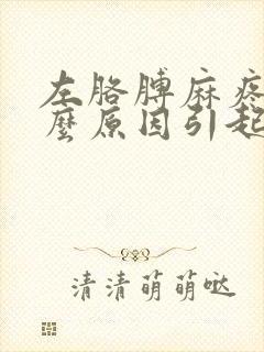 左胳膊麻疼是什么原因引起的