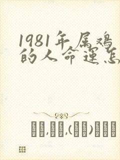 1981年属鸡的人命运怎么样