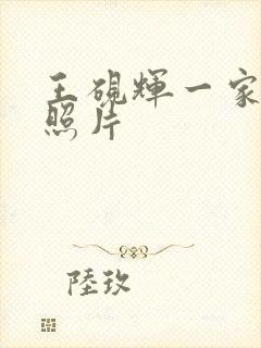 王砚辉一家三口照片封面