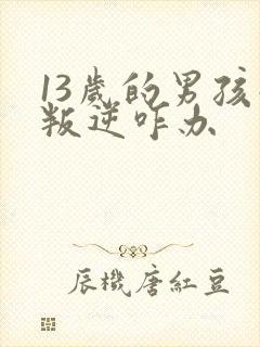 13岁的男孩子叛逆咋办