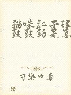 猫咪肚子很大圆鼓鼓的是怎么回事