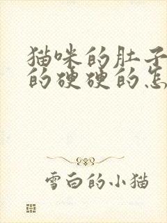 猫咪的肚子鼓鼓的硬硬的怎么了