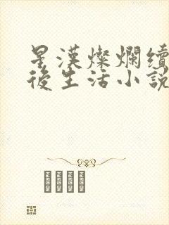 星汉灿烂续写婚后生活小说