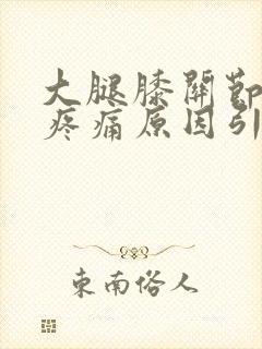 大腿膝关节内侧疼痛原因引起的