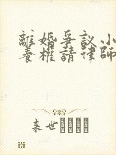 离婚争议小孩抚养权请律师要多少钱