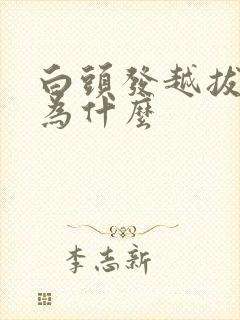 白头发越拔越多为什么封面