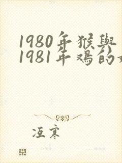 1980年猴与1981年鸡的婚配