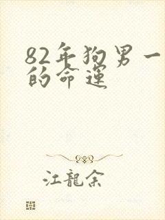 82年狗男一生的命运