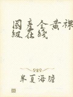 国产全黄裸体三级在线封面