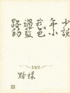 路过我年少时光的蓝色小说封面