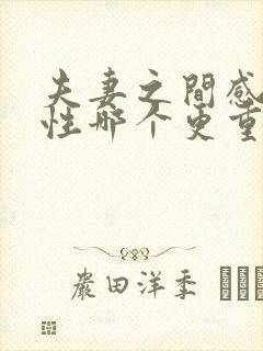 夫妻之间感情与性哪个更重要