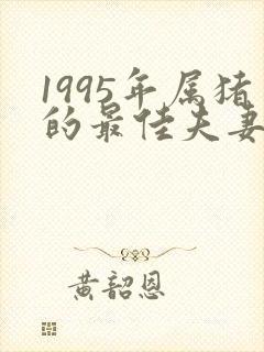 1995年属猪的最佳夫妻属相婚配表