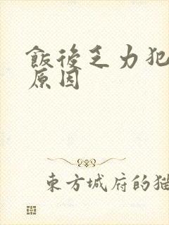 饭后乏力犯困的原因封面