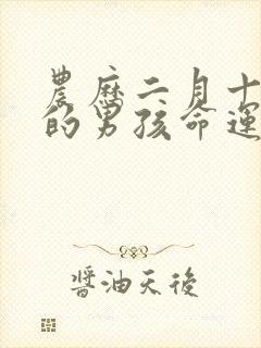 农历二月十九生的男孩命运如何