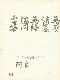 电脑无法无线连接网络怎么办