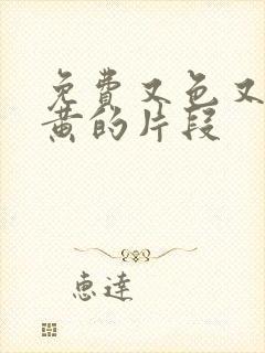 免费又色又爽又黄的片段