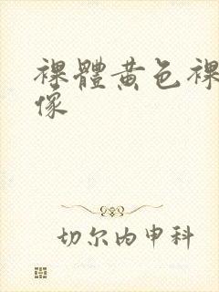 裸体黄色裸体录像