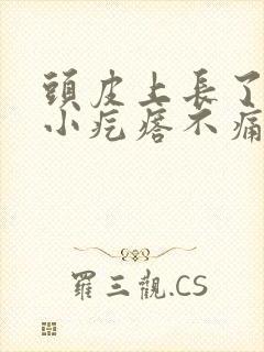 头皮上长了一个小疙瘩不痛不痒