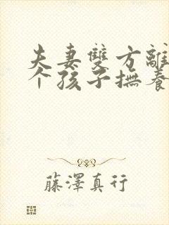 夫妻双方离婚两个孩子抚养权怎么判定