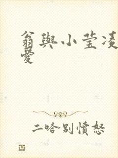 翁与小莹凌晨欢爱