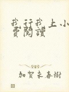 我行我上小说免费阅读封面