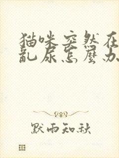 猫咪突然在家里乱尿怎么办封面