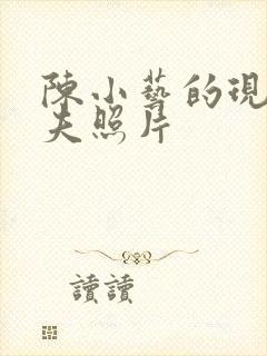 陈小艺的现任丈夫照片