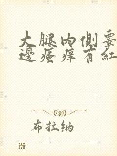 大腿内侧睾丸旁边瘙痒有红疙瘩发黑