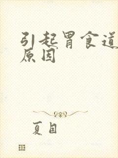 引起胃食道反流原因