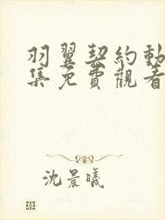 羽翼契约动漫全集免费观看