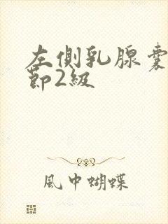 左侧乳腺囊性结节2级