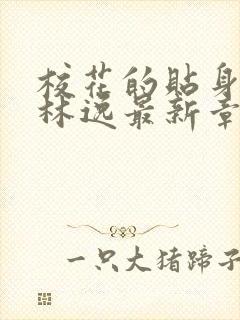 校花的贴身高手林逸最新章节列表